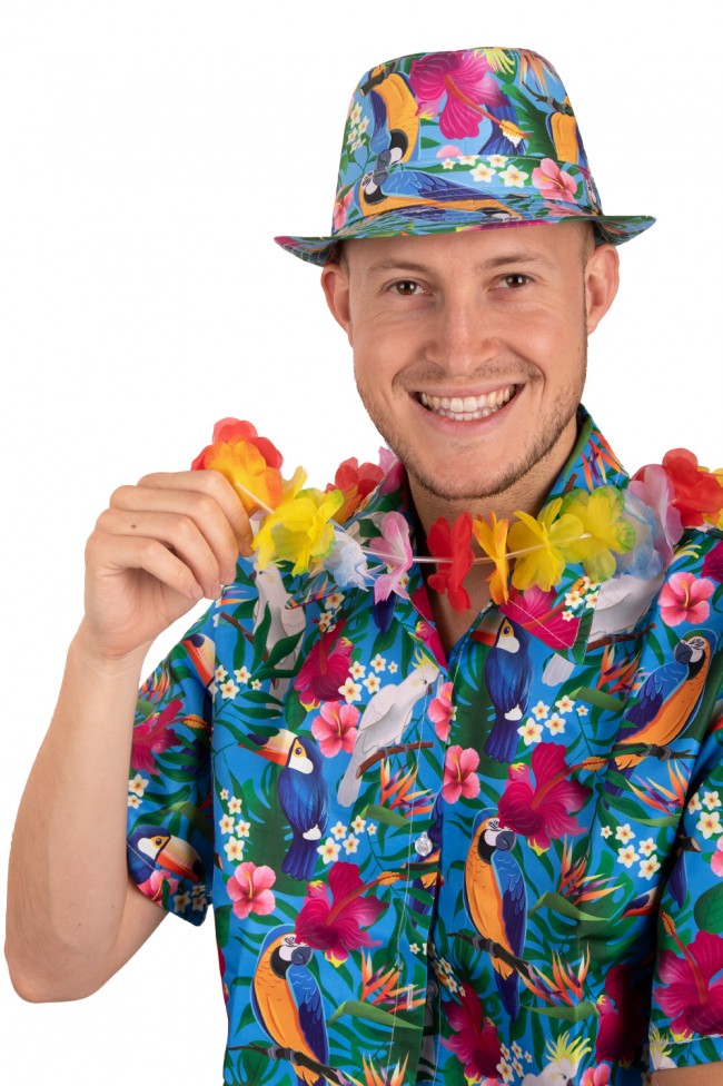 Tropical Papegaai Hoedje