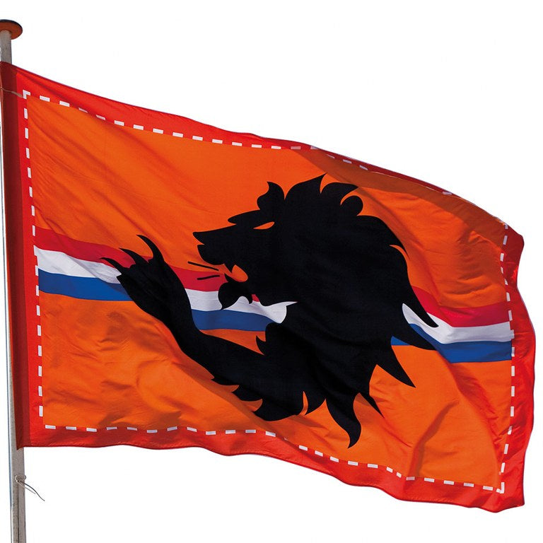 Oranje reuzenvlag 2 x 3 meter