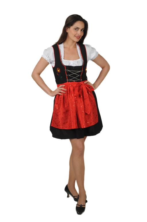 Dirndl jurk kort
