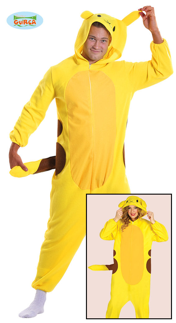 Pikachu pak Pokemon