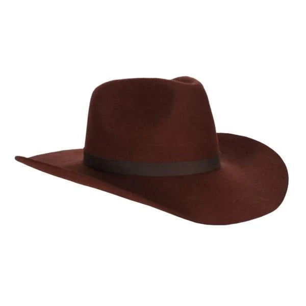 Bruine cowboyhoed luxe met brede rand, perfect voor feestkleding en carnaval.