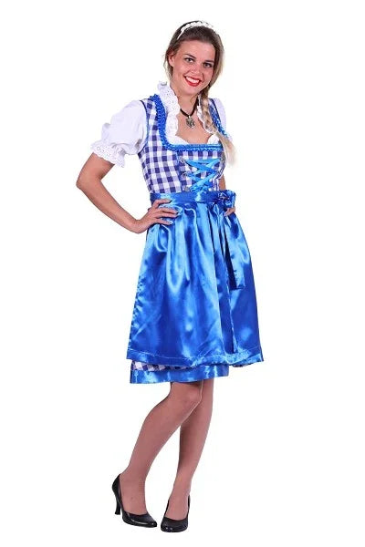 Vrouw in blauwe dirndl jurk voor Oktoberfest feestkleding met witte blouse en schort