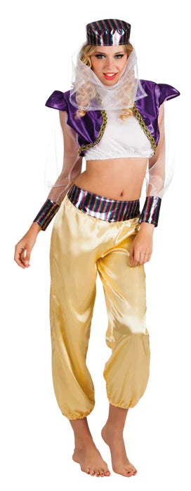 Harem Haribaba Buikdanser kostuum