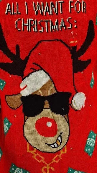 Rode kersttrui met rendier in zonnebril en kerstmuts, tekst 'All I Want For Christmas'.