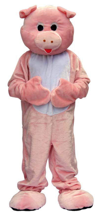 varken mascotte kostuum pluche