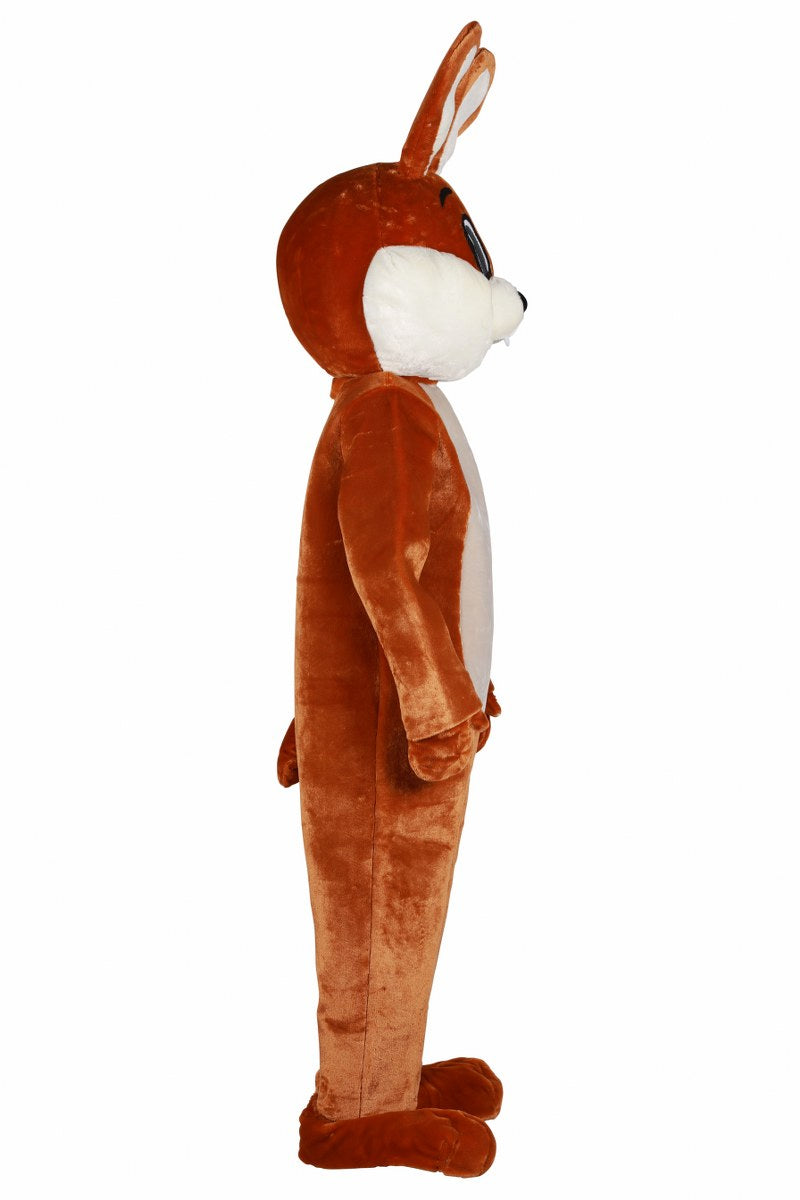 Paashaas Mascottepak Luxe