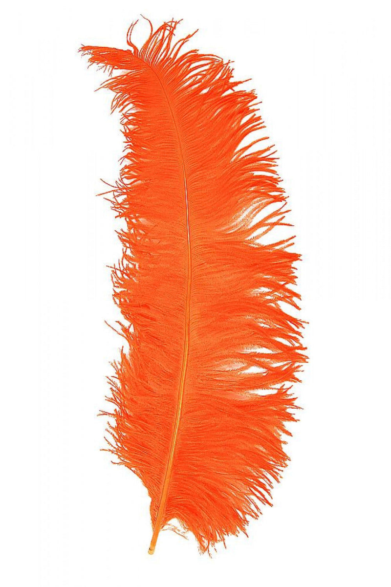 oranje spadonis veer