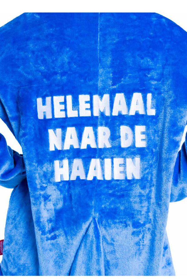 Helemaal naar de Haaien carnaval