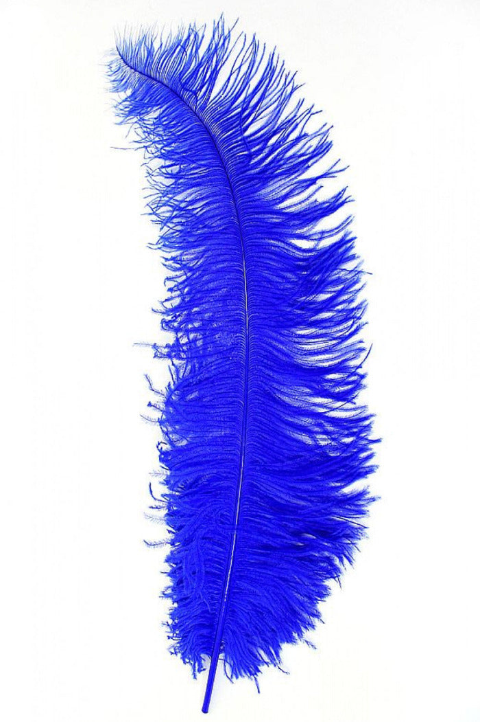 blauwe spadonis pietenveer