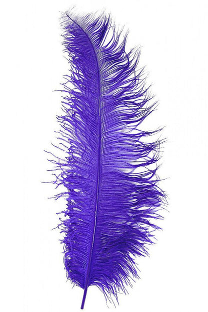 paarse pietenveer spadonis groot