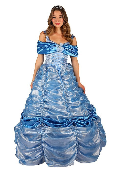 Luxe jurk Assepoester Theaterjurk