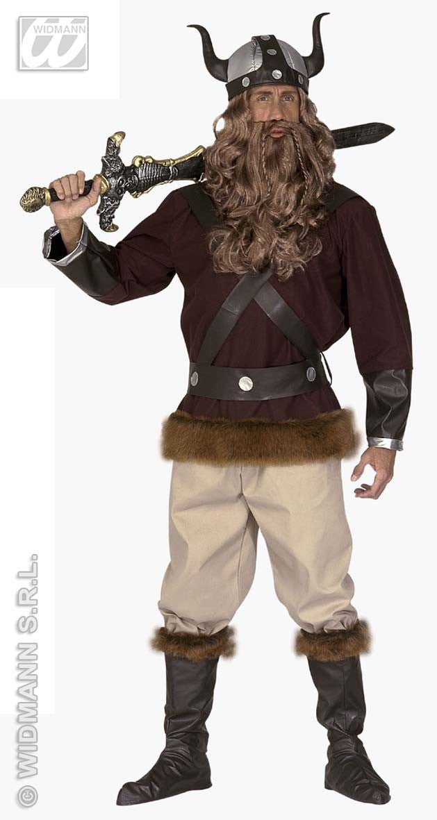 Viking kostuum