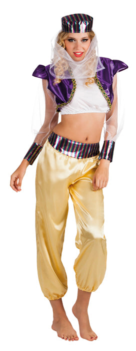 Harem Haribaba Buikdanser kostuum